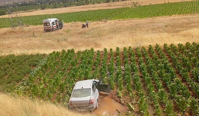 Malatya'da otomobil tütün tarlasına düştü: 3 yaralı
