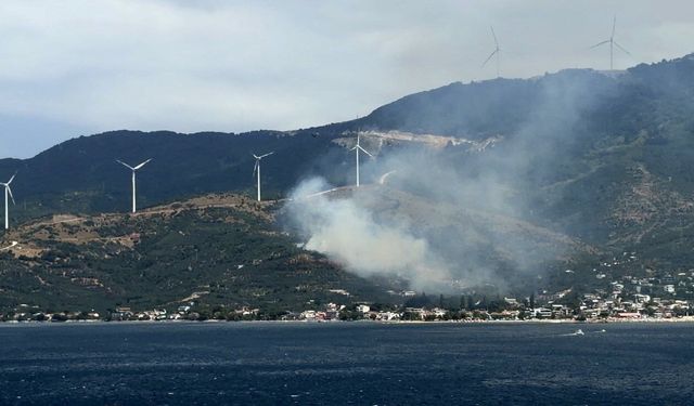 Marmara'da orman yangınına neden olan şüpheli gözaltına alındı