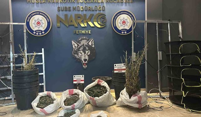 Muğla'da Temmuz ayında narkotik operasyonları: 29 tutuklama