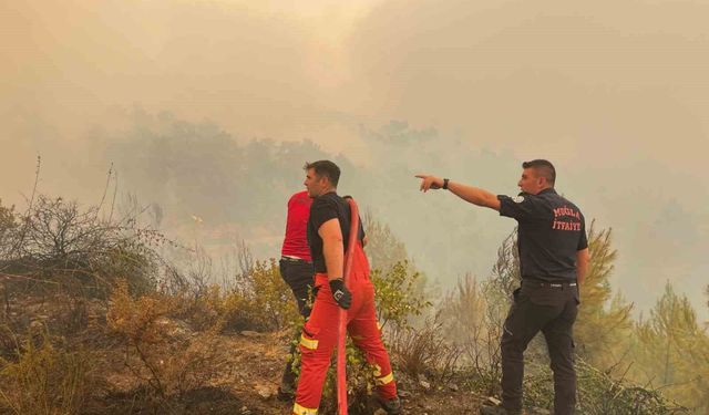 Muğla'daki her 10 yangından 7'si insan kaynaklı