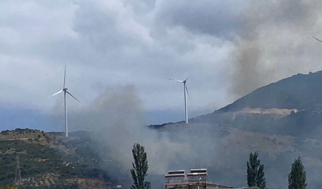 Narlı'daki yangınına havadan ve karadan müdahale ediliyor