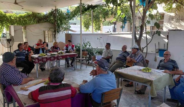 Nazilli'de üreticilere sağlıklı incir üretimi için önemli uyarılar