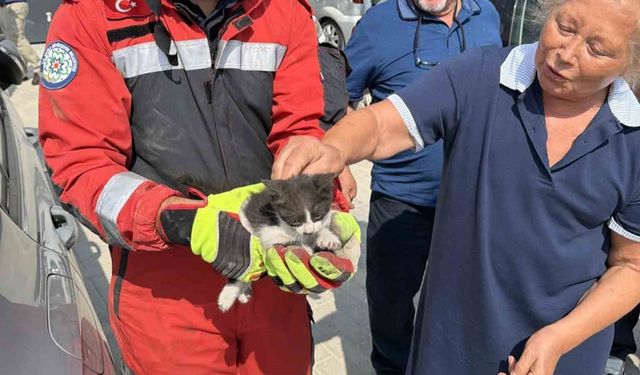 Otomobilin motor bölümüne sıkışan kedi kurtarıldı