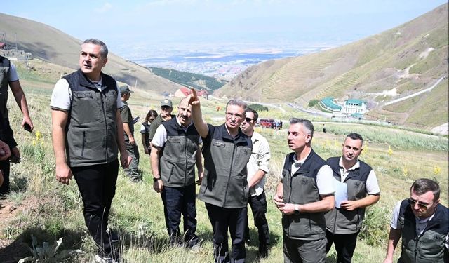 Palandöken'in orman varlığına inceleme