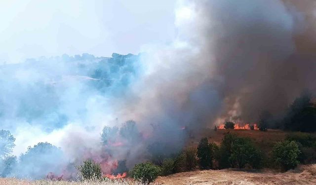 Pütürge'de orman ve örtü yangınına havadan müdahale
