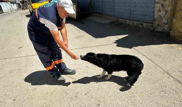 Sahibi ölen 'Dayı'yı yalnız bırakmayan temizlik görevlisinin kalp ısıtan hikayesi