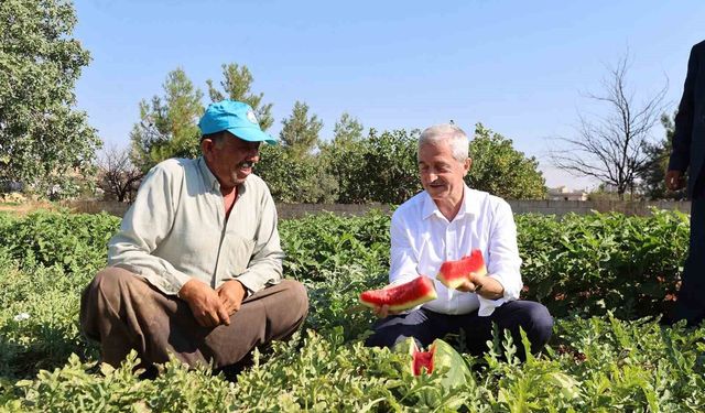 Şahinbey'den çiftçilere 53 milyon fide desteği