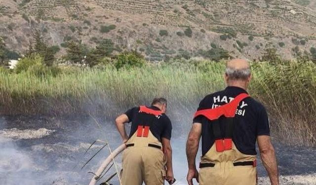 Samandağ'da bahçe yangını büyümeden söndürüldü