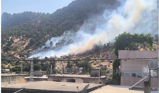 Siirt'te orman yangını büyümeden kontrol altına alındı