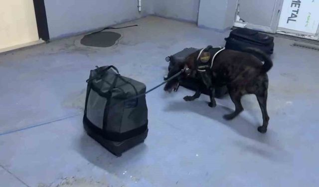 Silopi'de kıyafetlere emdirilmiş 7 kilo metamfetamin ele geçirildi