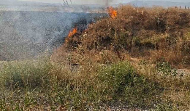 Şuhut'ta anız yangını paniğe neden oldu