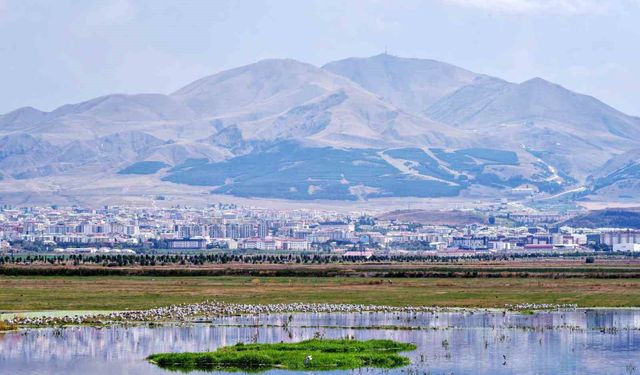 Tarihin tozlu sayfalarından ortaya çıkan bir gerçek: II. Abdülhamid'in Baş İstihbaratçısı Erzurum petrolünün peşindeydi
