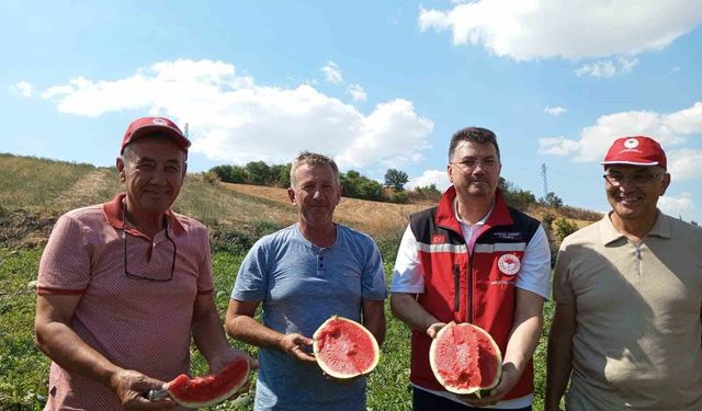 Tekirdağ karpuzu tezgâhlara çıkıyor