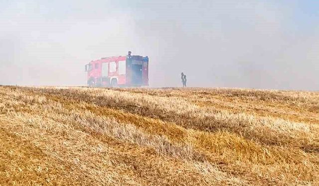 Tekirdağ'da anız yangını