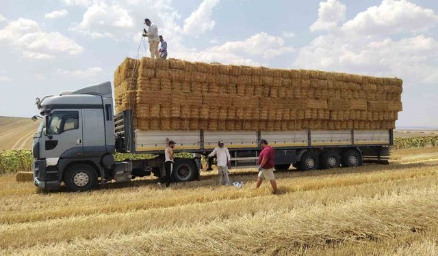 Tekirdağlı genç çiftçiden yangın bölgesindeki üreticilere saman balyası yardımı