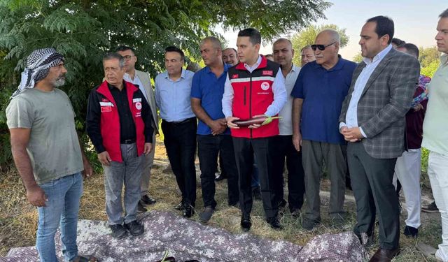 Tescilli Birecik patlıcanında hasat başladı