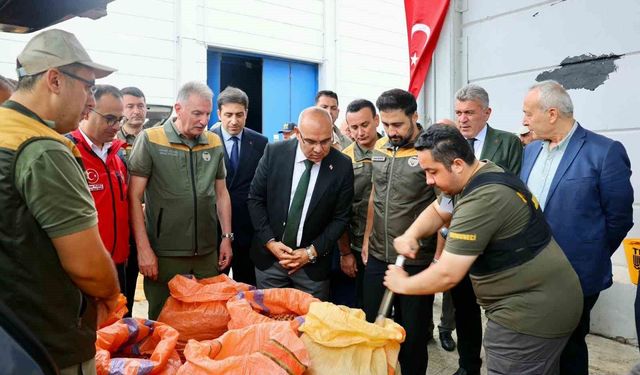 TMO, Giresun'da fındık alımına başladı