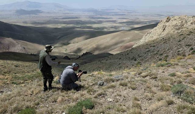 Van'daki kelebeklerin peşinde 2 bin kilometre yol yaptılar