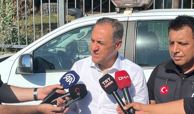 Yalova Valisi Usta: 'Can kaybı yok'