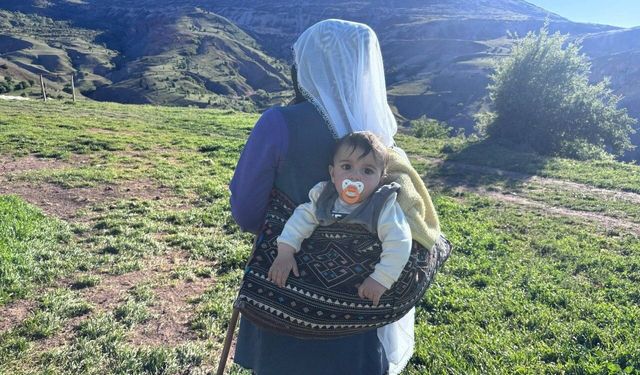 Yaylalarda başlayan emek, Erzincan tulum peyniri olarak sofralara ulaşıyor