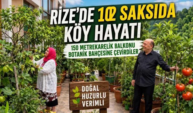 Rize'de 102 Saksıda Botanik Köy Hayatı