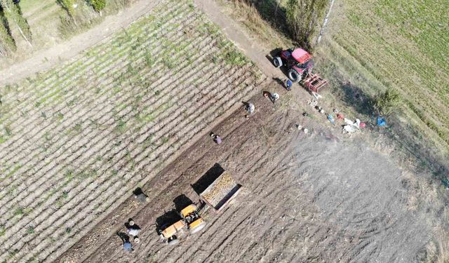 2027 üretim yılı ÇKS başvuruları devam ediyor
