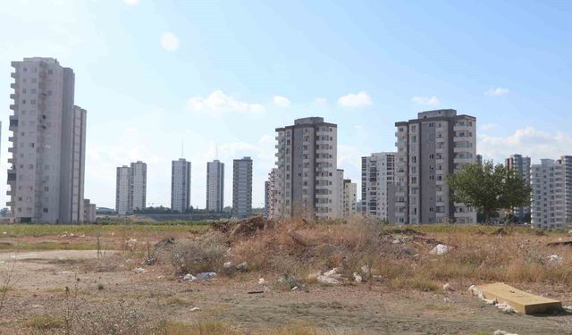 Adana'da cırcır böceği sesleri vatandaşları uyutmuyor