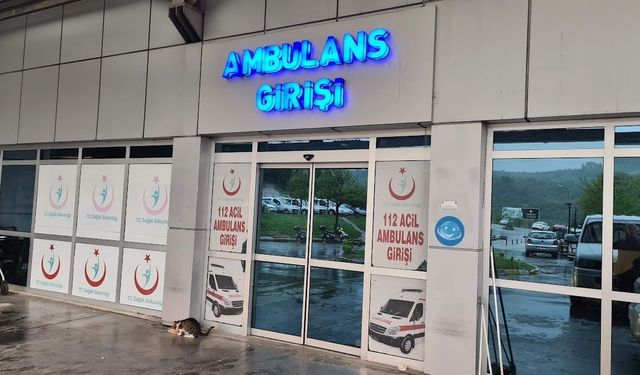 Ağaçtan düşen adam, merdiveni tutan kişiyi de yaraladı