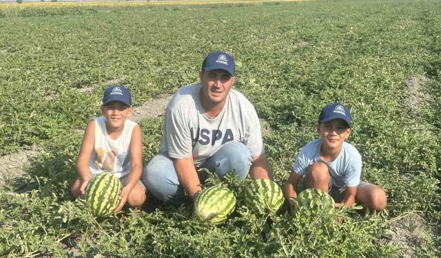 Amik Ovası'nda ata tohumuyla üretimi yapılan karpuzda bu yıl rekolte 2 kattan daha fazla arttı