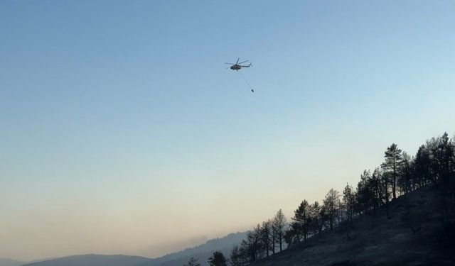 Ankara-Çankırı sınırındaki orman yangını 60 personel ve 14 aracın müdahalesiyle söndürüldü