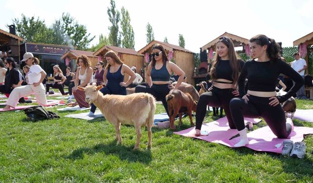 Ankara'da spora cüce keçiler de eşlik etti