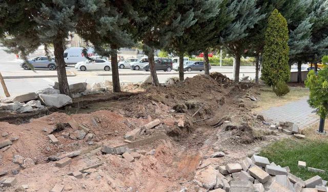 Ankara'da yol genişletme çalışmalarında 40 ağacın kesilmesi kararına tepki