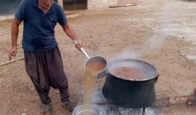 Araban'da gün pekmezi yapımına başlandı