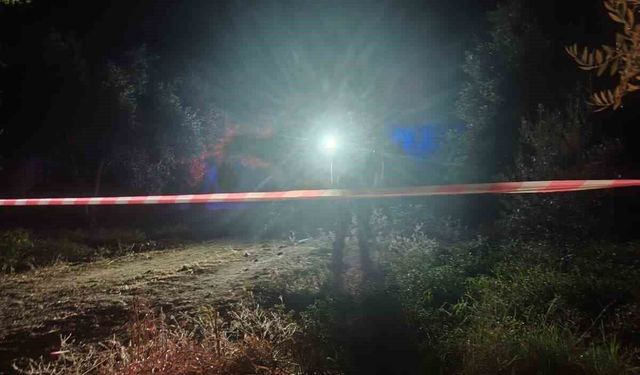 Aydın'da belediye personeli tarlada silahla vurulmuş halde ölü bulundu