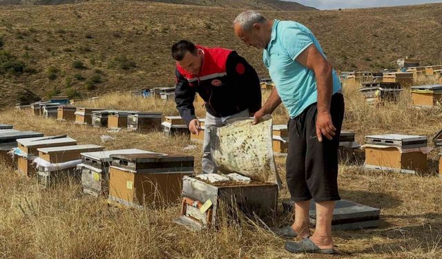 Aydıntepe'de 2026 yılı arılı kovan tespitleri başladı