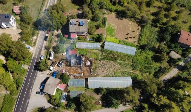 Bartın'da ahırda çıkan yangında 9 büyükbaş telef oldu