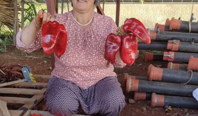 Başkan Pütün; 'Beyağaç'ın ata tohumlarını gelecek nesillere taşıyoruz'