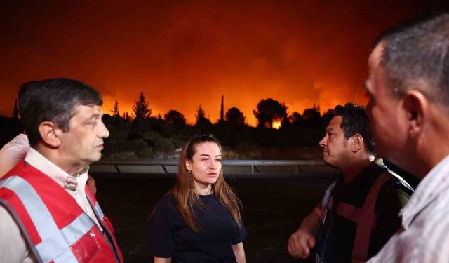 Başkan Vekili Özdemir: 'Şehrin tüm sorumlularıyla koordineli şekilde yangınla mücadele ediyoruz'