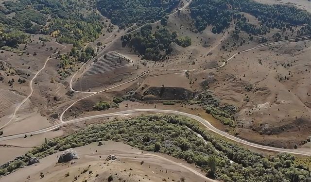 Bayburt'ta 3 projeyle 145 bin fidan toprakla buluşacak