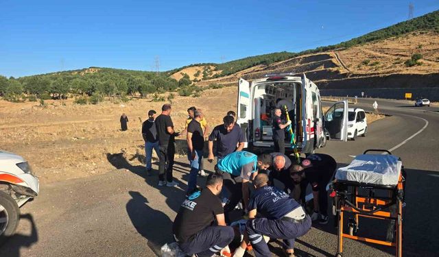 Bingöl'de kamyonet şarampole yuvarlandı: 3 yaralı