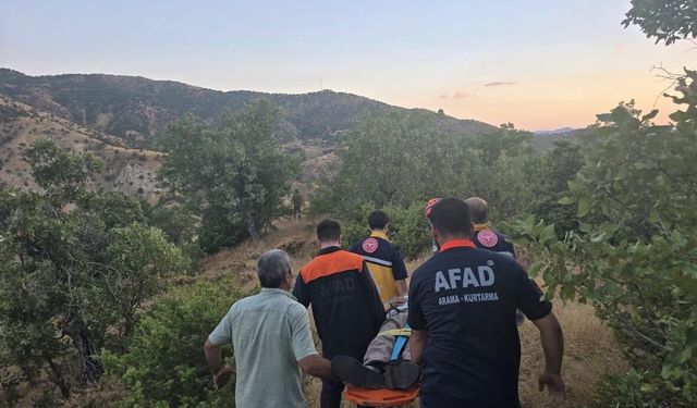 Bingöl'de kaybolan şahıs ormanlık alanda bulundu
