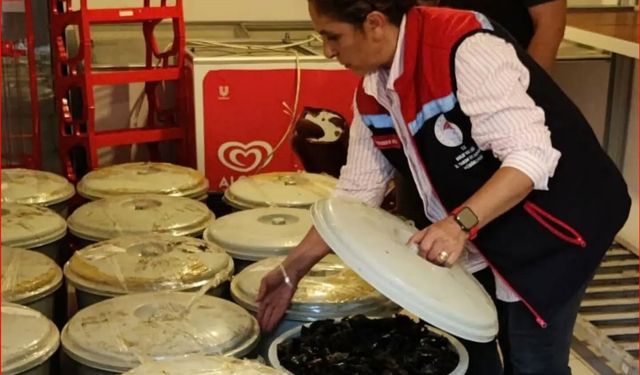Bolu'da 650 kilo kaçak midye ele geçirildi