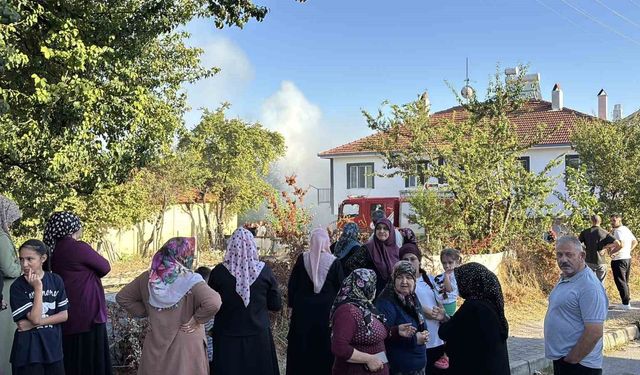 Bolu'da otluk alanda çıkan yangın, 3 eve sıçradı
