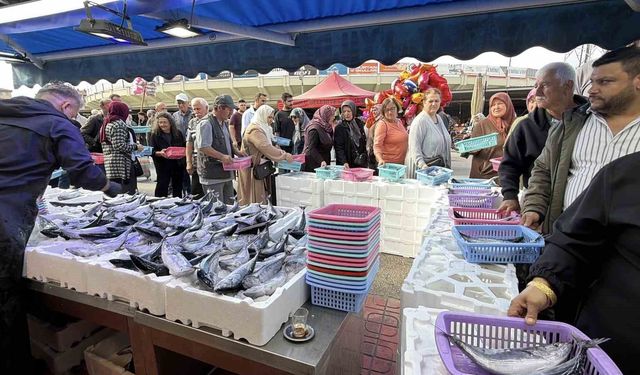 Bolu'da palamut ve hamsiye yoğun ilgi: Tezgahlarda metrelerce kuyruk oluştu
