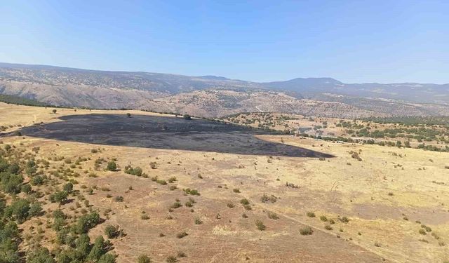 Bolu'daki orman yangını kontrol altına alındı