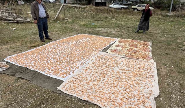 Boyabat'ta kış hazırlıkları başladı: Tarhana mesaisi
