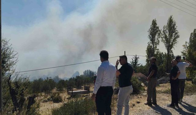 Burdur'da orman yangını