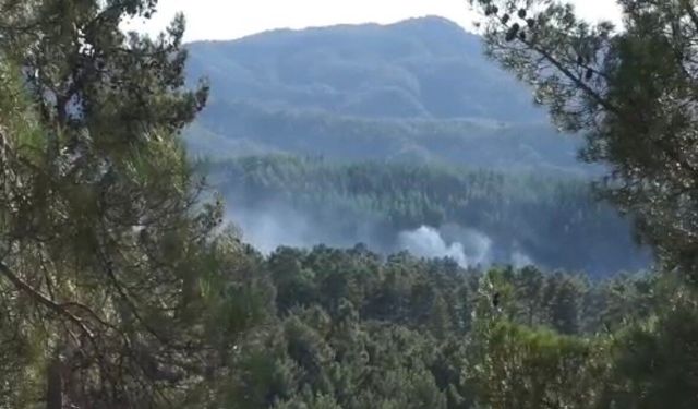Burdur'da ormanlık alanda yangın