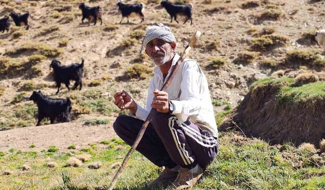 Bursa'dan köyüne döndü, hayvancılıkla geçimini sağlıyor