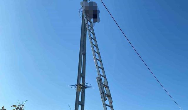 Çıktığı direkte akıma kapılan elektrikçi hayatını kaybetti